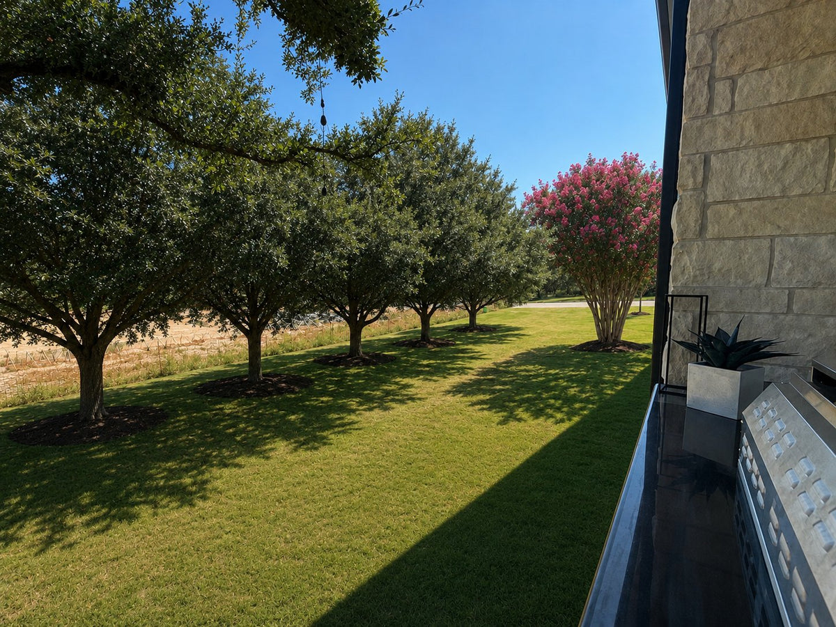Products – Stallion Trees